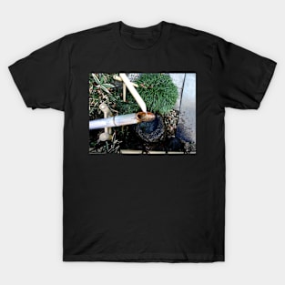 Photo of Deer Scarer in a Japanese Garden T-Shirt